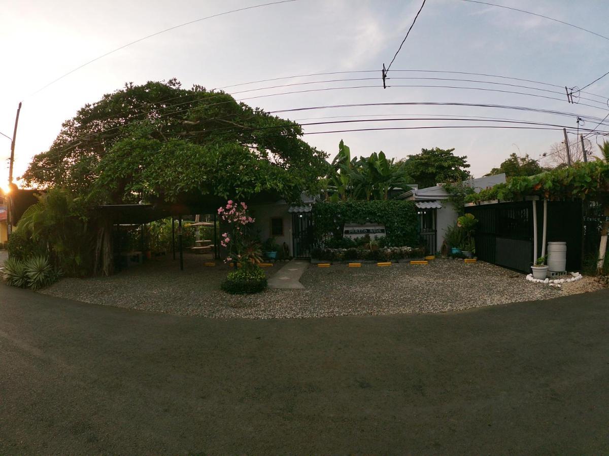 Hotel Perico Azul & Surf Camp 자코 외부 사진