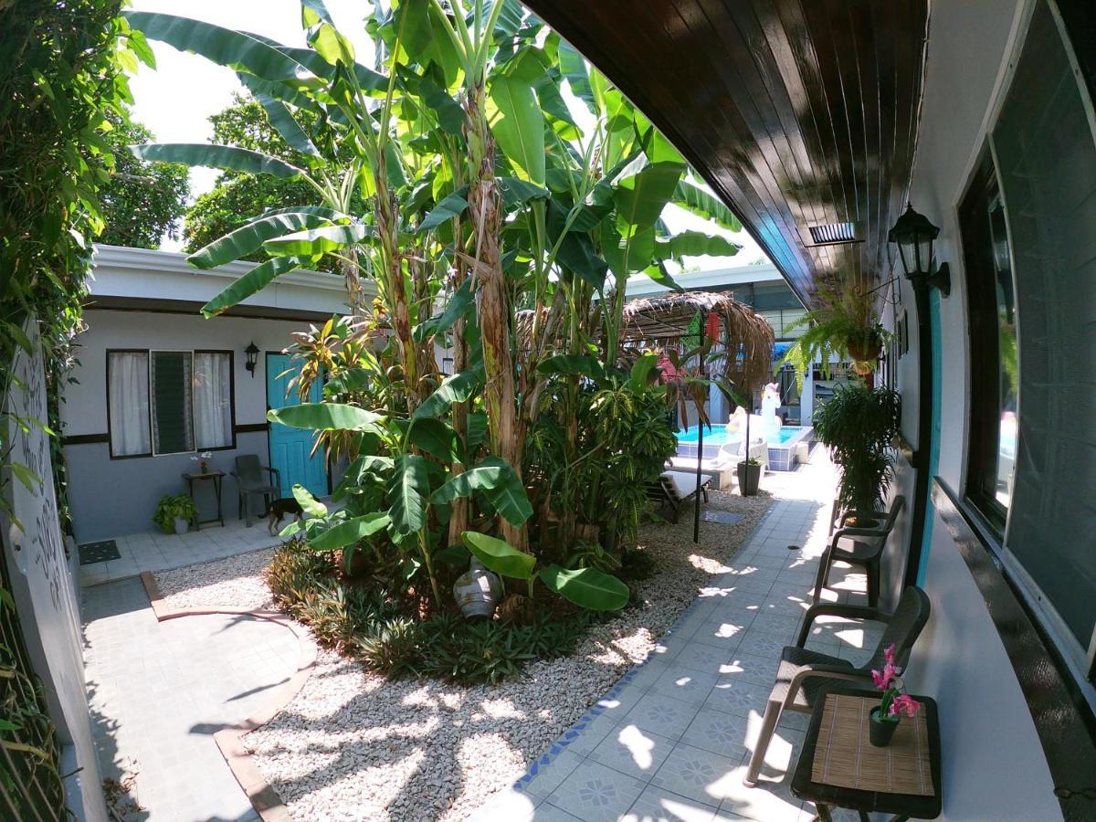 Hotel Perico Azul & Surf Camp 자코 외부 사진