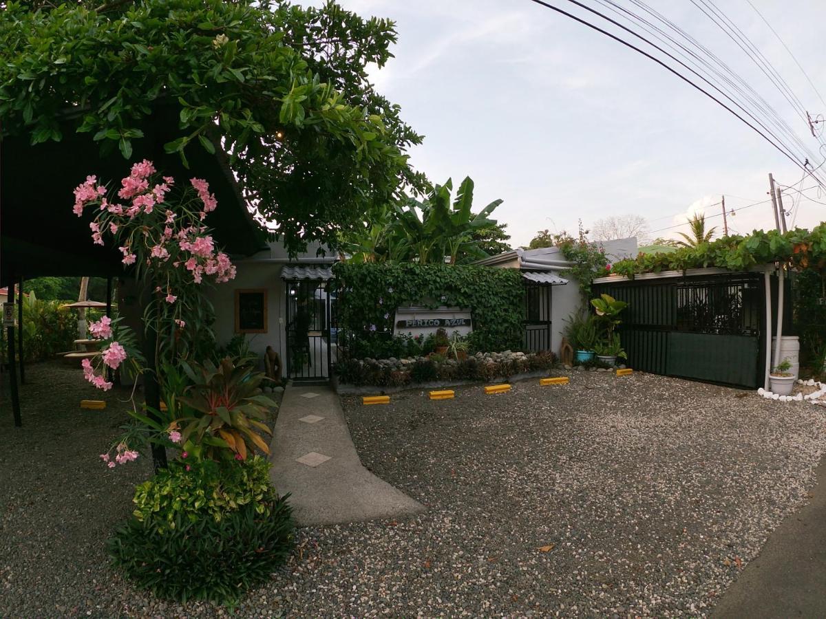 Hotel Perico Azul & Surf Camp 자코 외부 사진