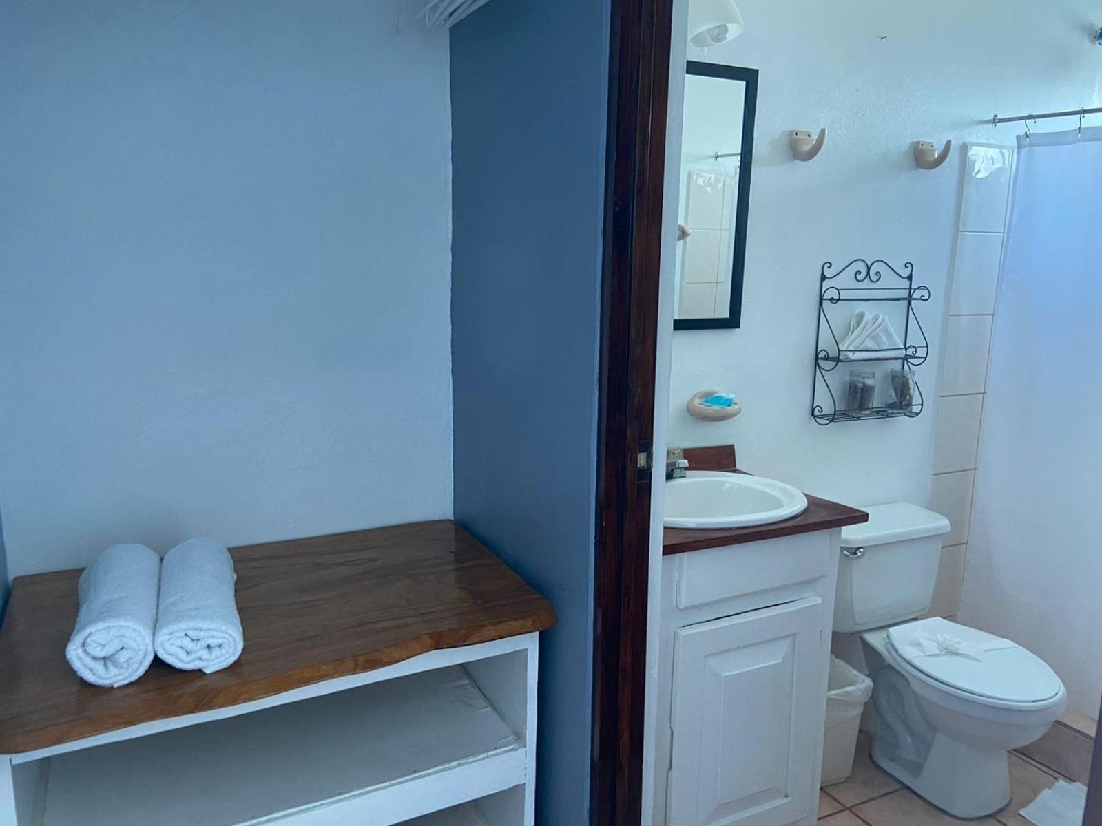 Hotel Perico Azul & Surf Camp 자코 외부 사진